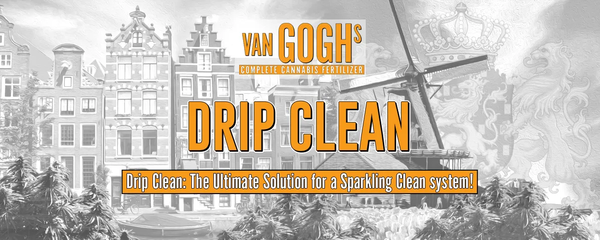 Drip Clean เป็นสารที่ช่วยในการทำความสะอาดระบบน้ำหยดในการปลูกกัญชาอย่างมีประสิทธิภาพสูงสุด