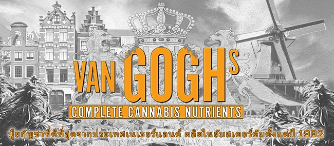 Van Goghs แคตตาล็อก ภาษาไทย
